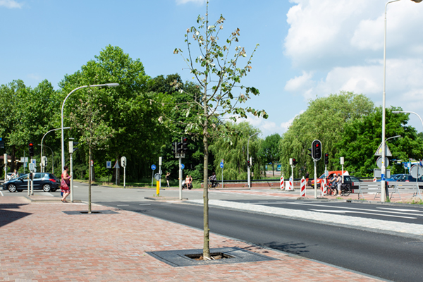 GreenBlue Urban RootSpace boombunker Groene Wal Deventer